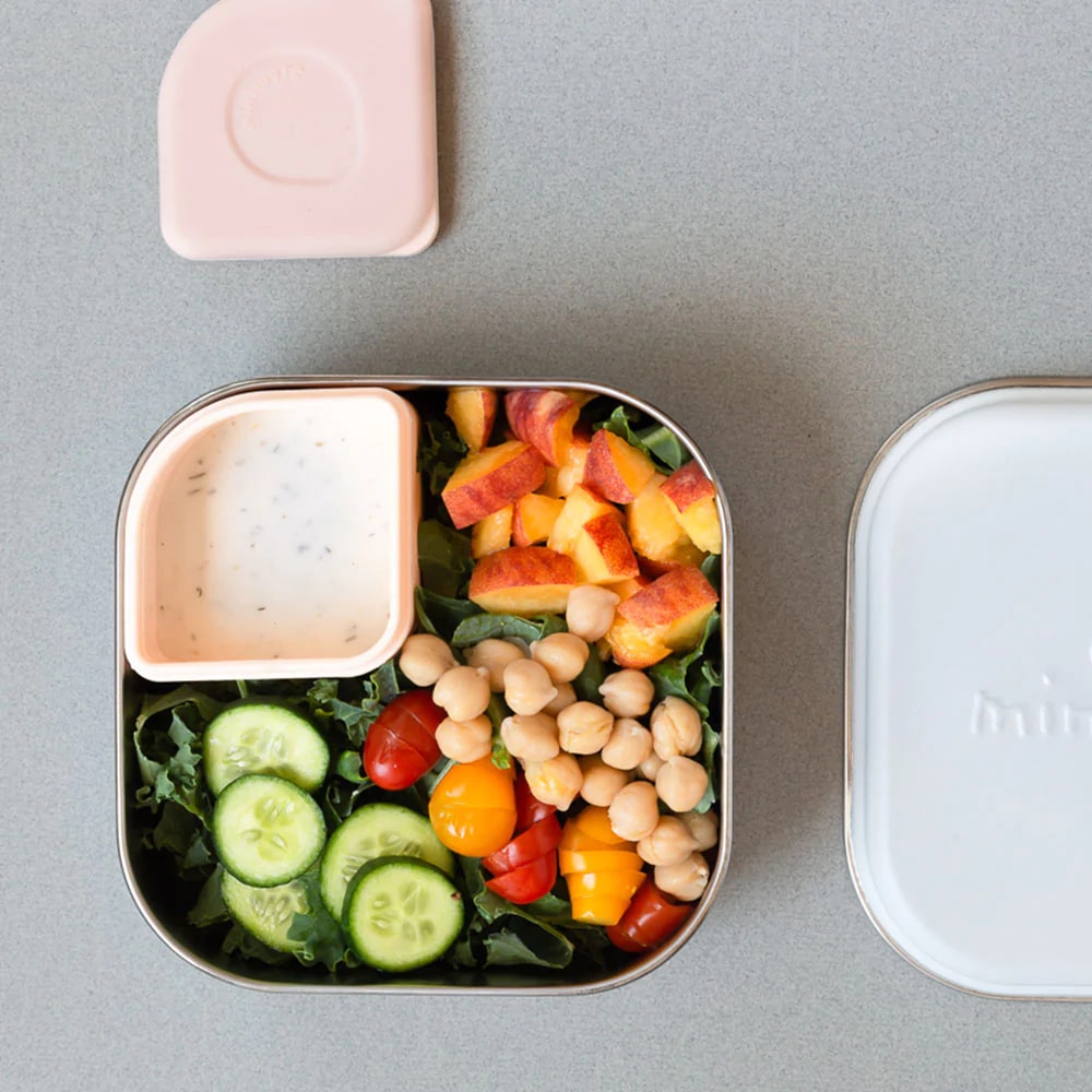 Ready Go! Bento - Prickly Pear
