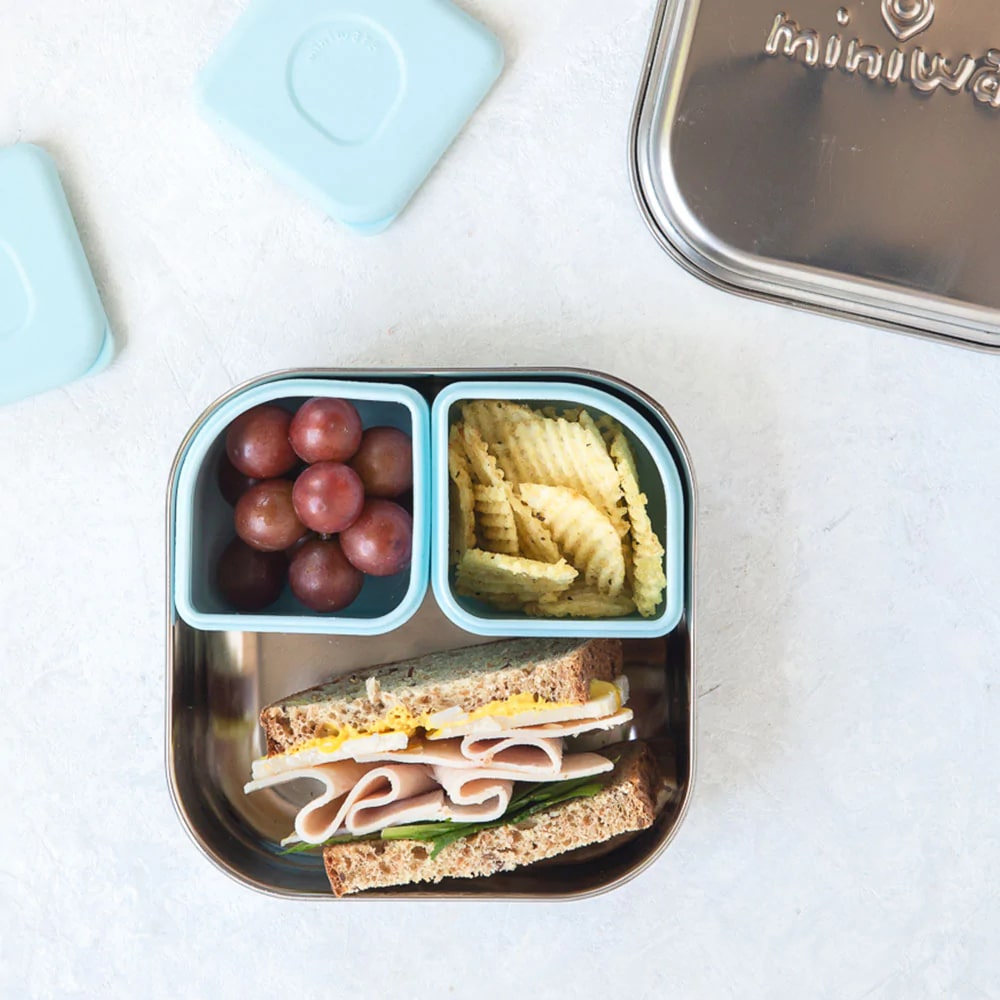 Ready Go! Bento - Prickly Pear